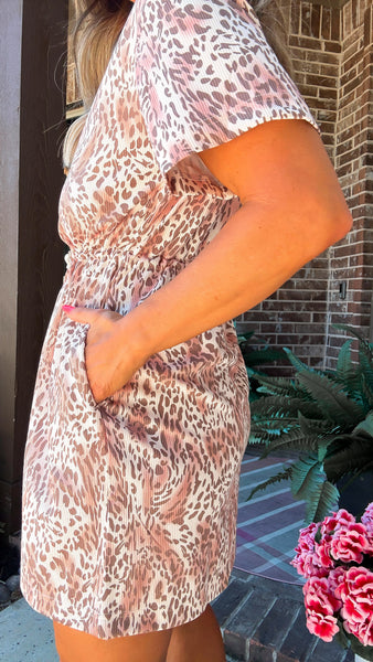 Cinch Waist Print Dress